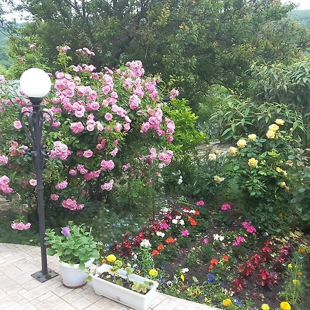 Bed & Breakfast Yanakievi 3*